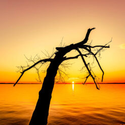 rebirth-orange-square-fine-art-travel-photography-prints