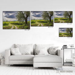 north-italy-olive-and-vineyards-italy-fine-art-travel-photography-prints