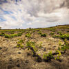 santorini-wine-lovers-greece-fine-art-travel-photography-prints
