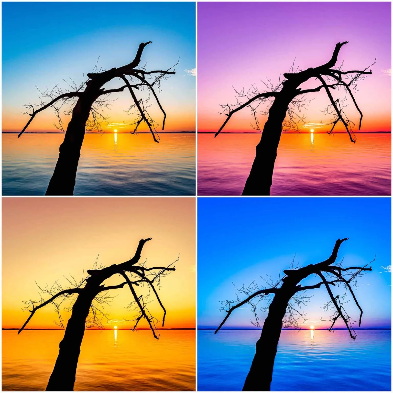 Fine art prints singapore | Nicky Urban